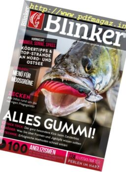 Blinker – Juni 2017