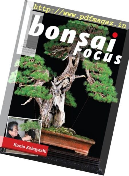 Bonsai Focus – Mai-Juin 2017 (French Edition) Cover