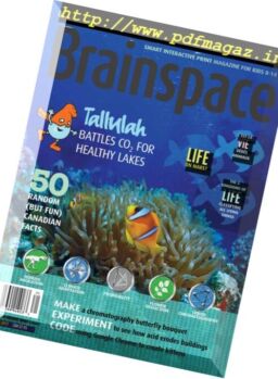 Brainspace – Spring 2017