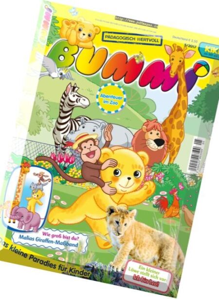 Bummi – Mai 2017 Cover