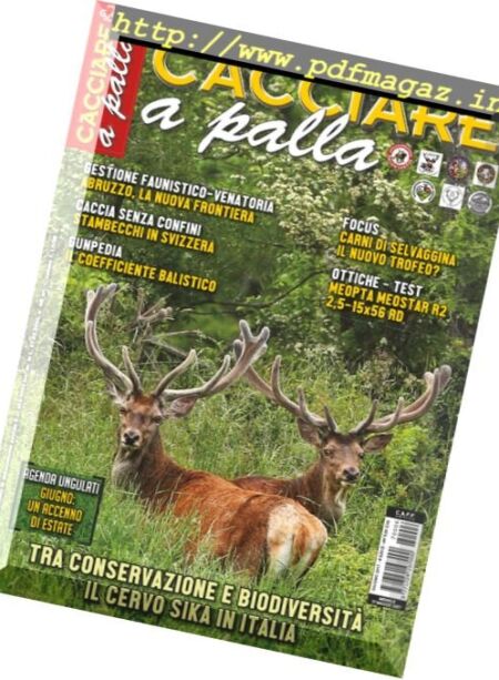 Cacciare A Palla – Giugno 2017 Cover