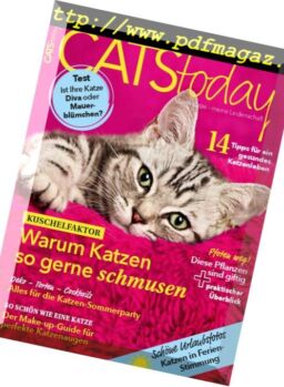 Cats Today – Nr.3, 2017