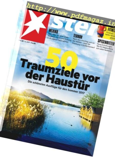 Der Stern – 1 Juni 2017 Cover