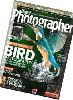 Digital Photographer – Issue 187, 2017