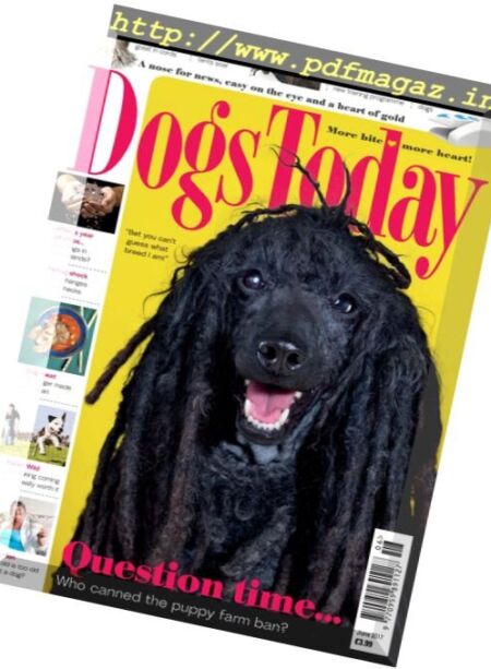 Dogs Today UK – June 2017 Cover