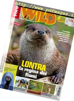 Focus Wild – Giugno 2017