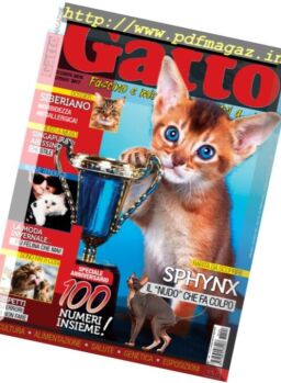 Gatto Magazine – Dicembre 2016 – Gennaio 2017