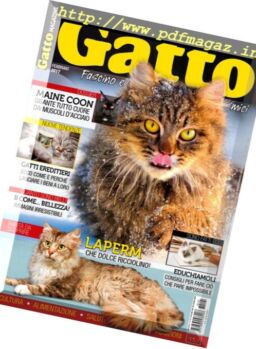 Gatto Magazine – Febbraio 2017