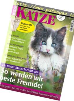 Geliebte Katze – Mai 2017