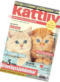 Kattliv – Nr.2, 2017