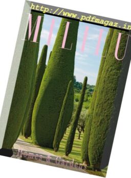 Milieu – Summer 2017