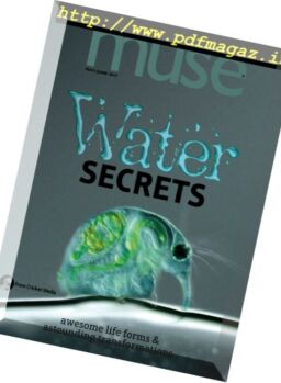 Muse – May-June 2017