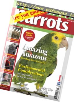 Parrots – June 2017