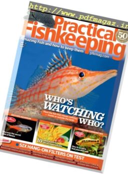 Practical Fishkeeping – June 2017