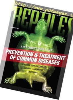 Reptiles – July-August 2017