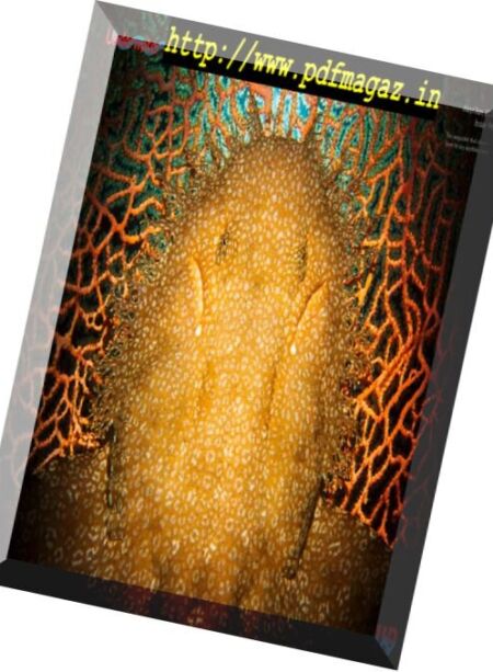 Underwater Photography – May-June 2017 Cover