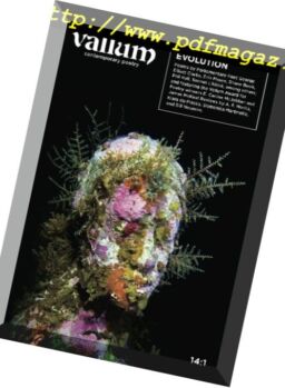 Vallum – Volume 14 Issue 1 2017