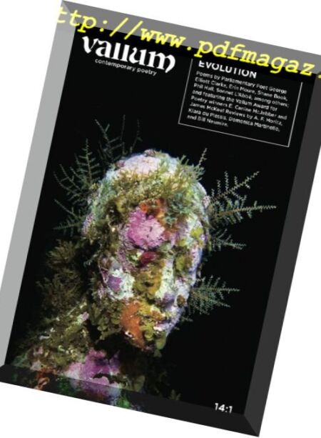 Vallum – Volume 14 Issue 1 2017 Cover