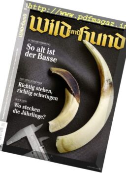 Wild und Hund – 18 Mai 2017