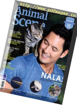 Animal Scene – January 2017