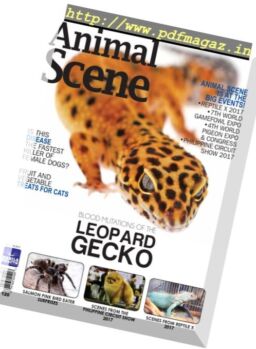 Animal Scene – March 2017