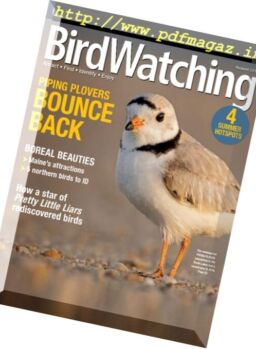 BirdWatching – July-August 2017