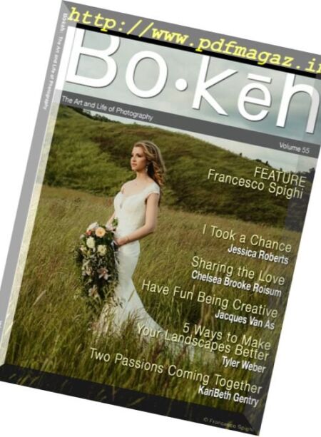 Bokeh – Volume 55 2017 Cover