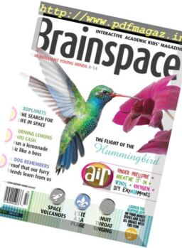 Brainspace – Summer 2017
