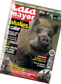 Caza Mayor – Junio 2017