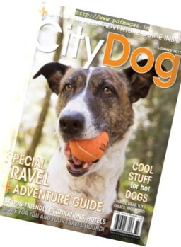 CityDog – Summer 2017