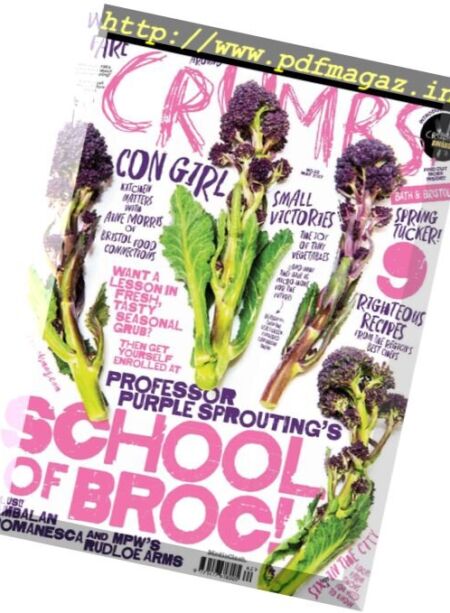 Crumbs Bath & Bristol – May 2017 Cover