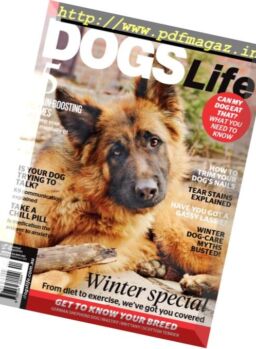 Dogs Life – June 2017