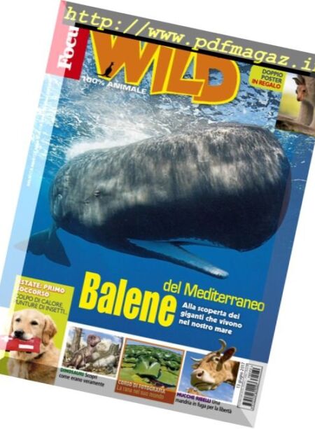 Focus Wild – Luglio 2017 Cover