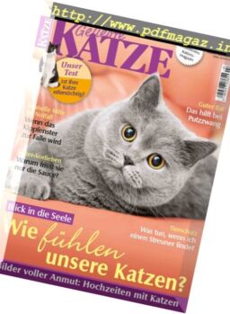 Geliebte Katze – Juli 2017