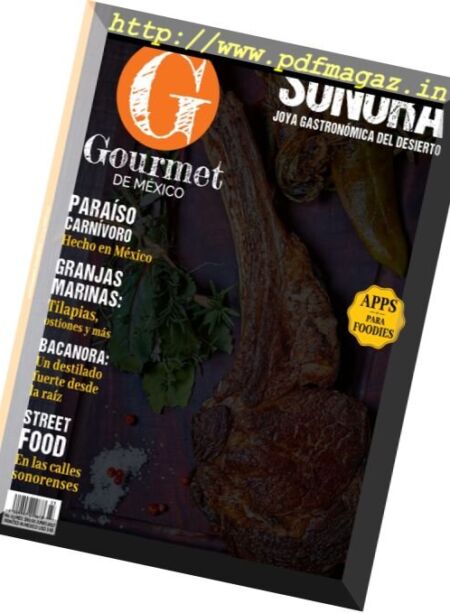 Gourmet de Mexico – Junio 2017 Cover