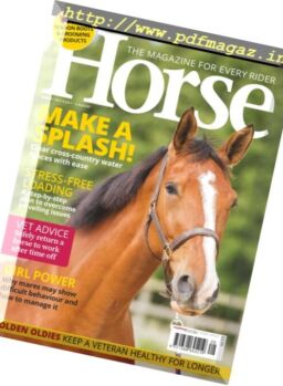 Horse – August 2017