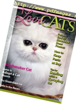 I Love Cats – Summer 2017