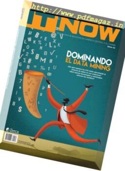 IT Now – N 132, 2017