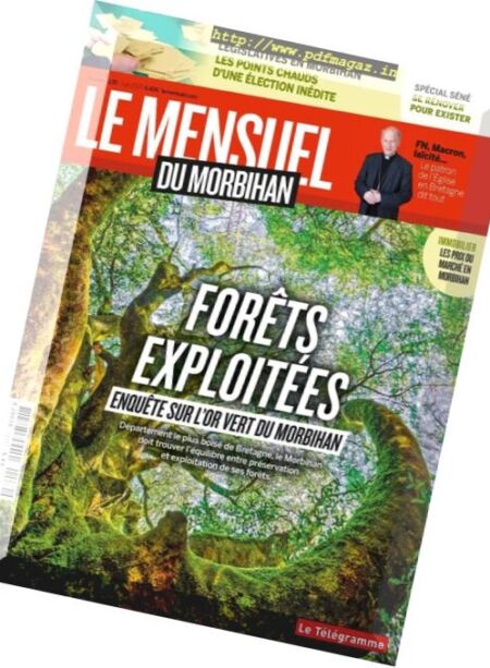 Le Mensuel du Morbihan – Juin 2017 Cover