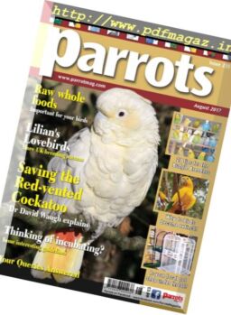 Parrots – August 2017