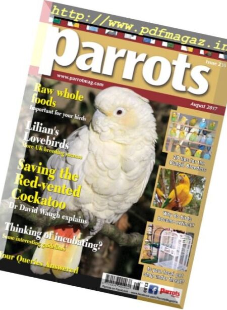 Parrots – August 2017 Cover