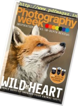 Photography Week – 8 June 2017