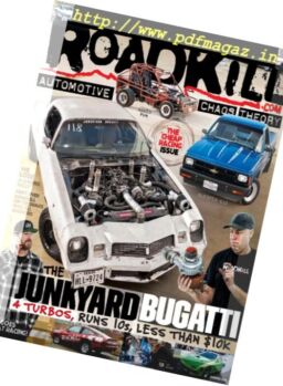 Roadkill – Summer 2017