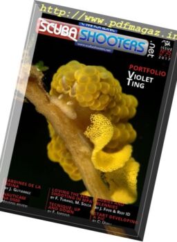 ScubaShooters – March 2017