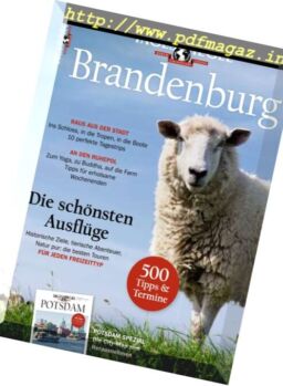 Tagesspiegel Brandenburg – 2017-2018