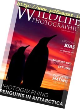 Wildlife Photographic – May-June 2017
