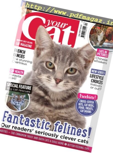 Your Cat – July 2017 Cover