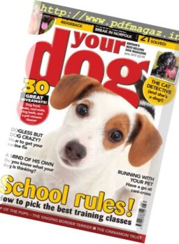 Your Dog – June 2017