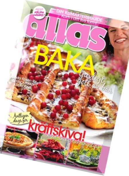 Allas – Nr.31 2017 Cover
