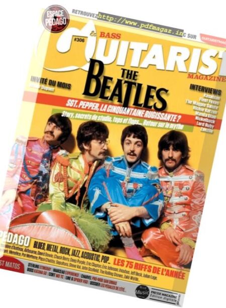 Bass Guitarist – N 306, 2017 Cover